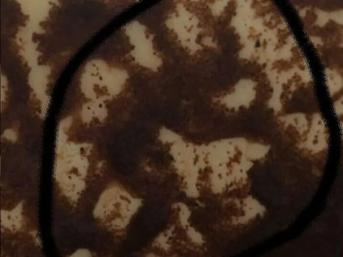 Запись на прием к гадалке в Улан-Удэ